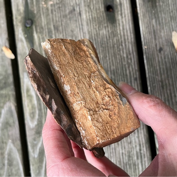 Petrified Wood 2 Piece Set - Picture 5 of 16